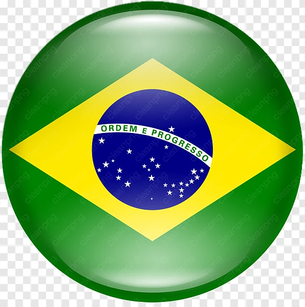 Brazilian Food